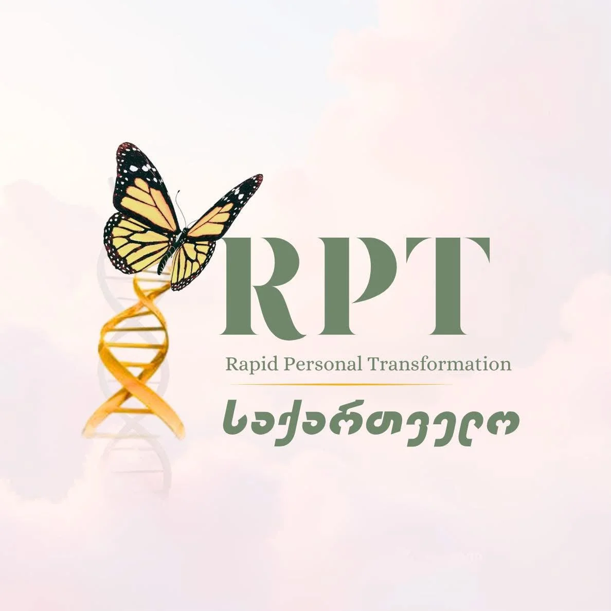 RPT საქართველო